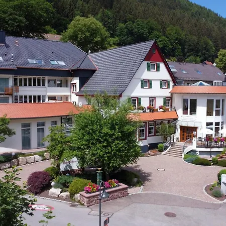 Hotel Ochsen 4*