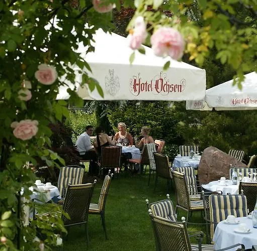 Ochsen Höfen an der Enz